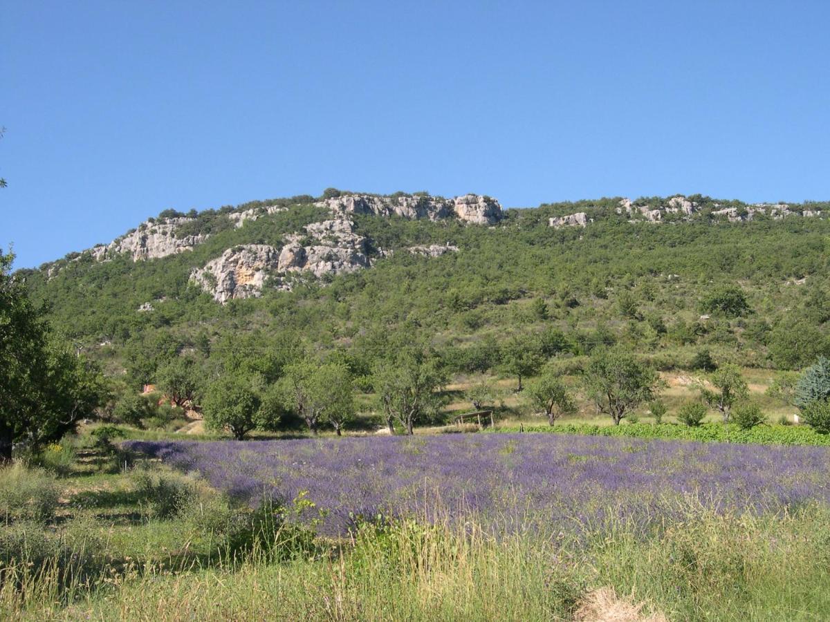Domaine De Bois Joli Villa Buis-les-Baronnies Dış mekan fotoğraf